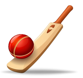 Bat Ball